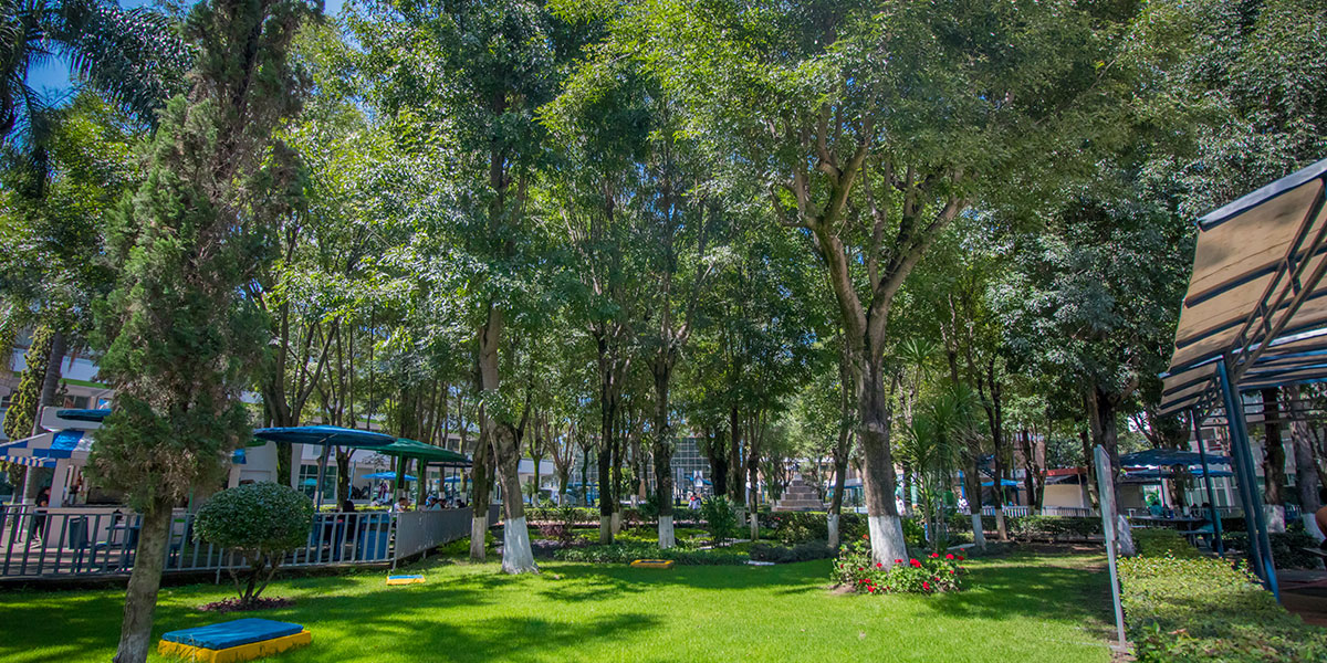 Universidad, Licenciatura, Bachillerato, Diplomados, Maestrias, Doctorados, Ingenierias en Guadalajara, Jalisco