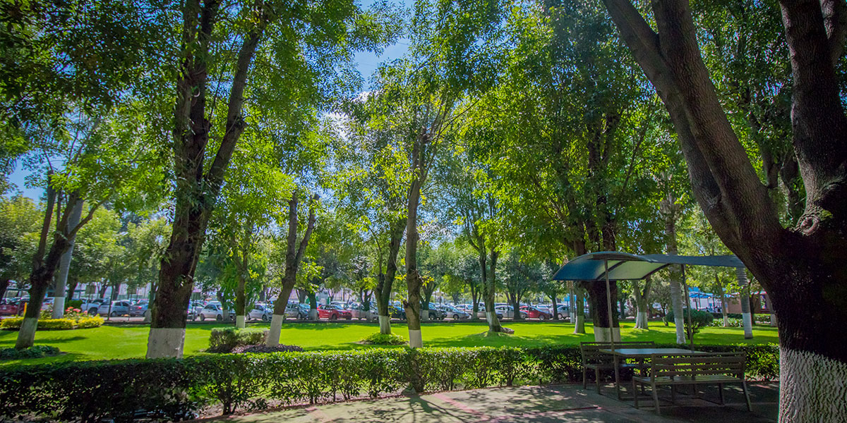 Universidad, Licenciatura, Bachillerato, Diplomados, Maestrias, Doctorados, Ingenierias en Guadalajara, Jalisco