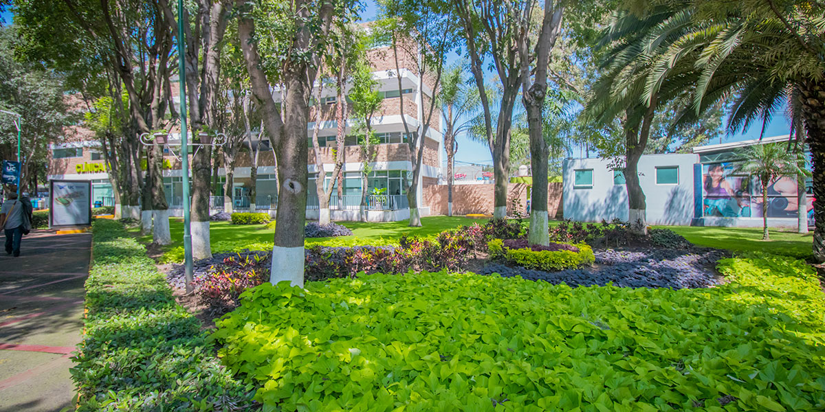 Universidad, Licenciatura, Bachillerato, Diplomados, Maestrias, Doctorados, Ingenierias en Guadalajara, Jalisco